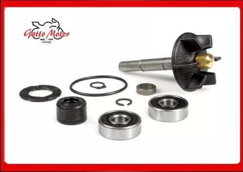 Kit revisione pompa acqua - revisione,
